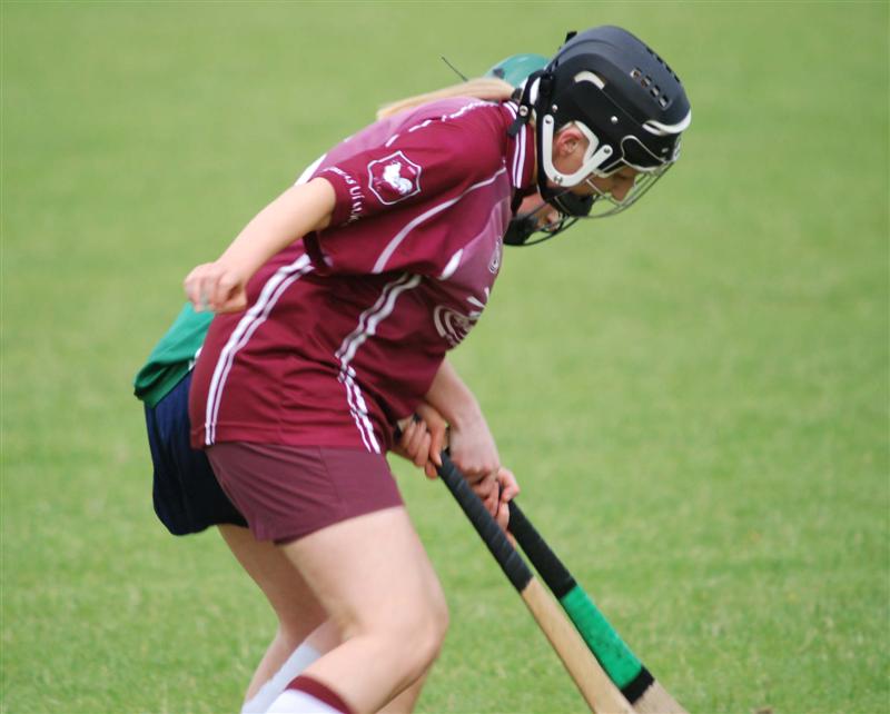 Camogie Club Photos - June 2008